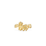 Aries ring