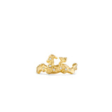 Capricorn ring