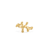 Kappa ring