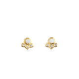 variant--october