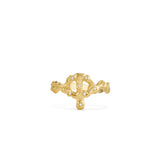 Phi ring
