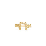 Pi ring
