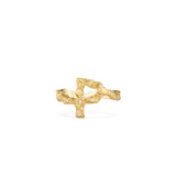Rho ring