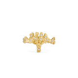 Virgo ring